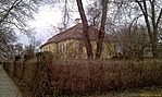 a nagy sárga