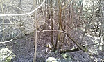 GCRADA_2012033123655.jpg
