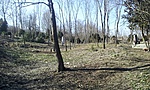 GCGBL_2012034125751.jpg