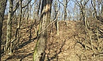 GCBDFS_20120310112410.jpg
