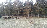 GCURGE_20120310171748.jpg