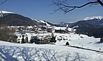 GCDono_20120318115021.jpg