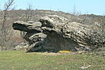 Varánuszok