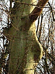 Mell-esleg!:o)