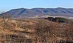 a koporsók