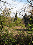 Kilátás