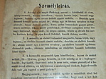 Személyleírás