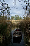 Csendélet
