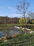 GCTO_2012043080538.jpg