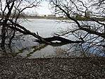 A Tisza