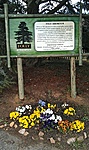 GCARBO_2012048161611.jpg