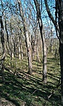 GCSzto_2012049101209.jpg