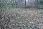 GCSWS_2012048180825.jpg