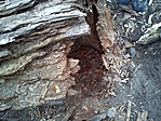 GCguba_2012047170748.jpg