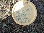 Gyálipatak
