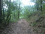 Természet 1.