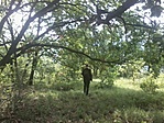 Természet 2.