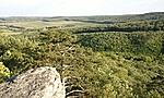 GCszla_20120517182939.jpg