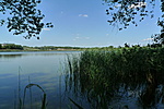 Románd, halastó (a ládától)