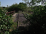 benőve