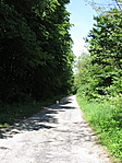 Visszafelé