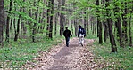 visszaút 