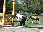 2012.05.03 Bér