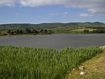 A tó közelről