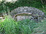 Forrás