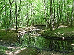 kép1