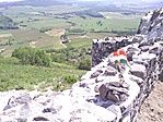Csupa szépség
