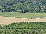 Vadászles