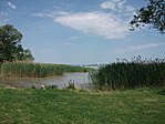 A szigeten