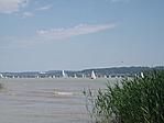 Vitorlásverseny