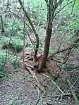 GCMARF_2012056154423.jpg