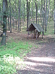 Vadetető