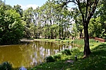 Környezet_1