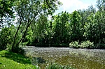Környezet_2