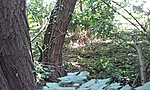 GCCSV_20120528115558.jpg