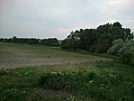 GCITAT_20120512173501.jpg