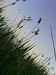 GC4718_20120527185930.jpg