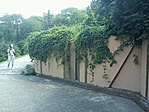 GCTH2O_2012068124633.jpg