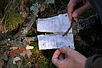 Elázott logbook