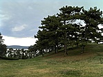 GCfgom_20120628141934.jpg