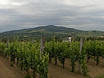 Kilátás