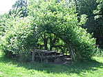Pihenő
