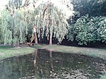 GCFV_2012066191426.jpg