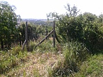 GCpeep_20120623161802.jpg