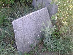 GCpeep_20120623162054.jpg