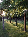 301-es parcella